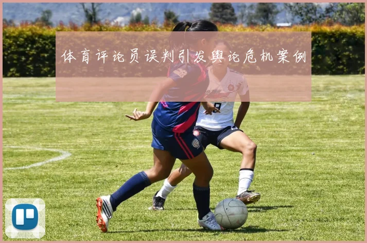 体育评论员误判引发舆论危机案例