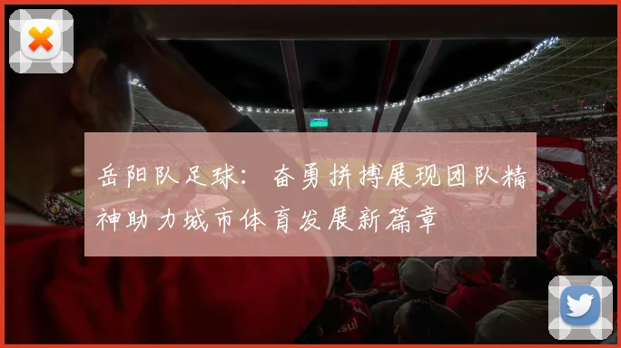 岳阳队足球：奋勇拼搏展现团队精神助力城市体育发展新篇章